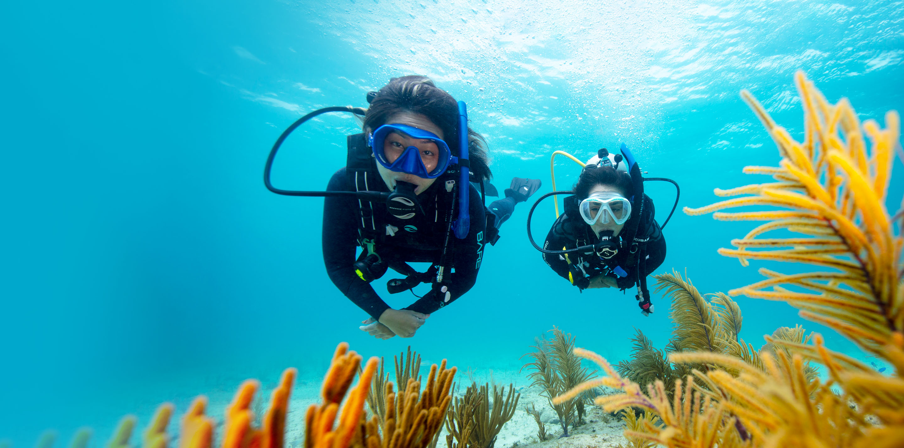 2 scuba divers exploring underwater