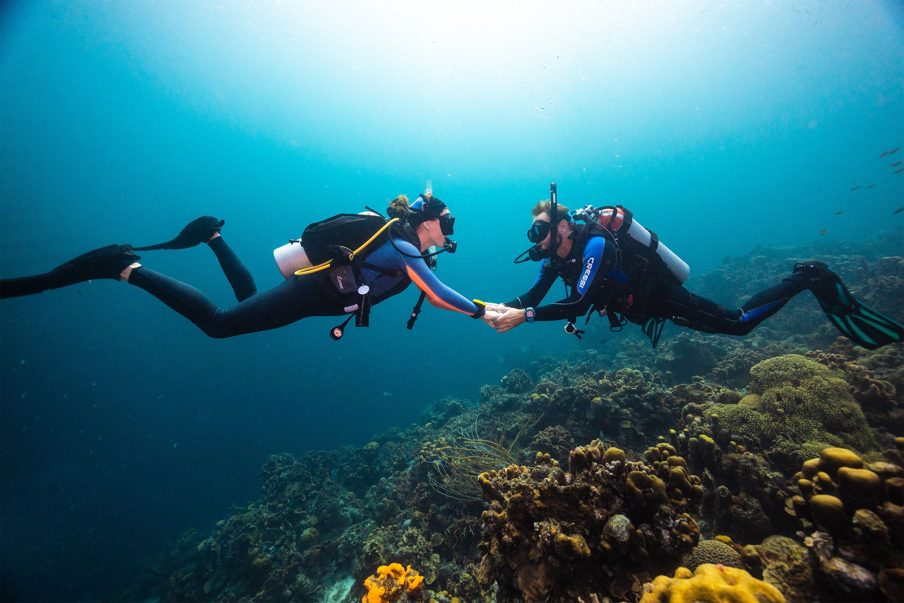 diving for deeper connections.jpg diving for deeper connections