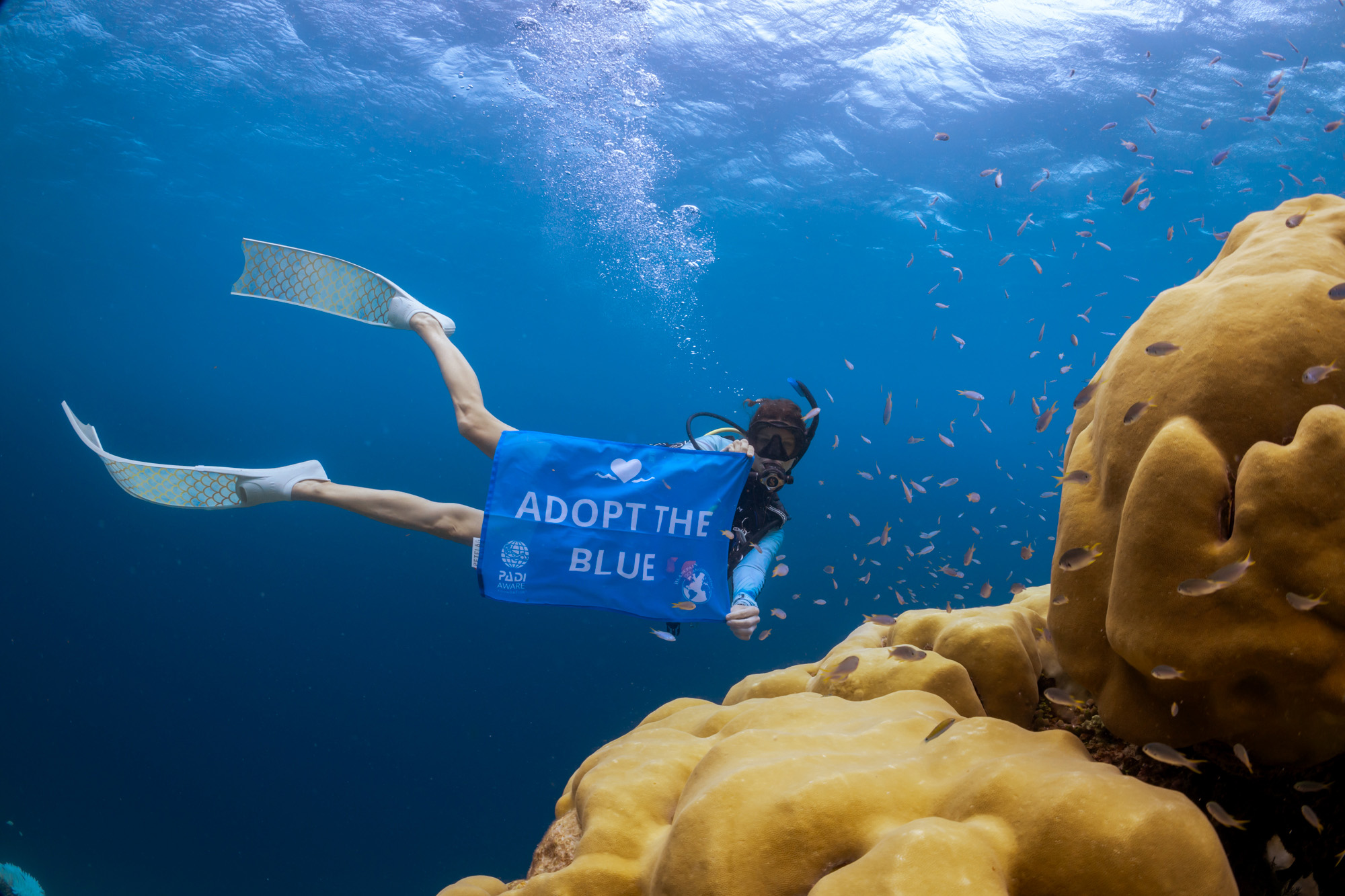 A diver holding a blue Adopt the Blue flag in the ocean.
