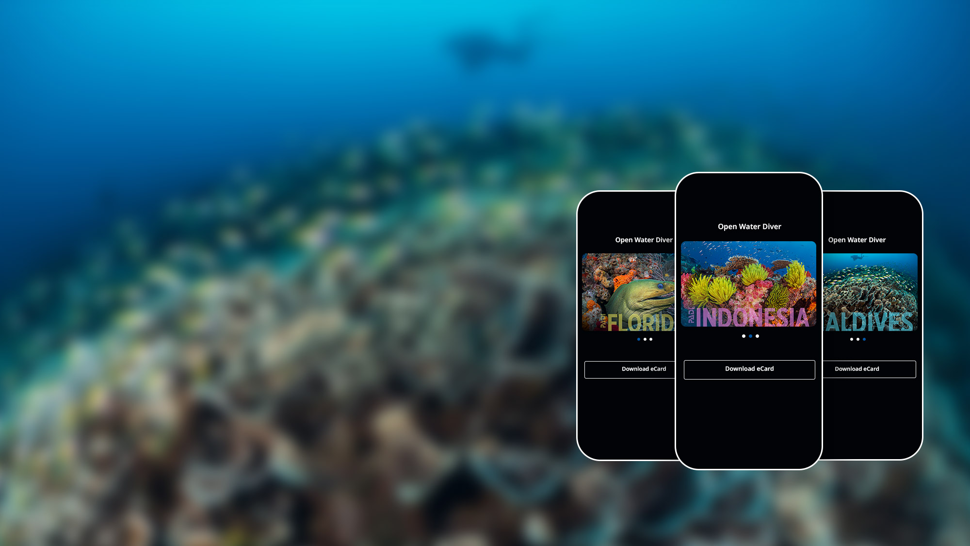 PADI eCard Destinations