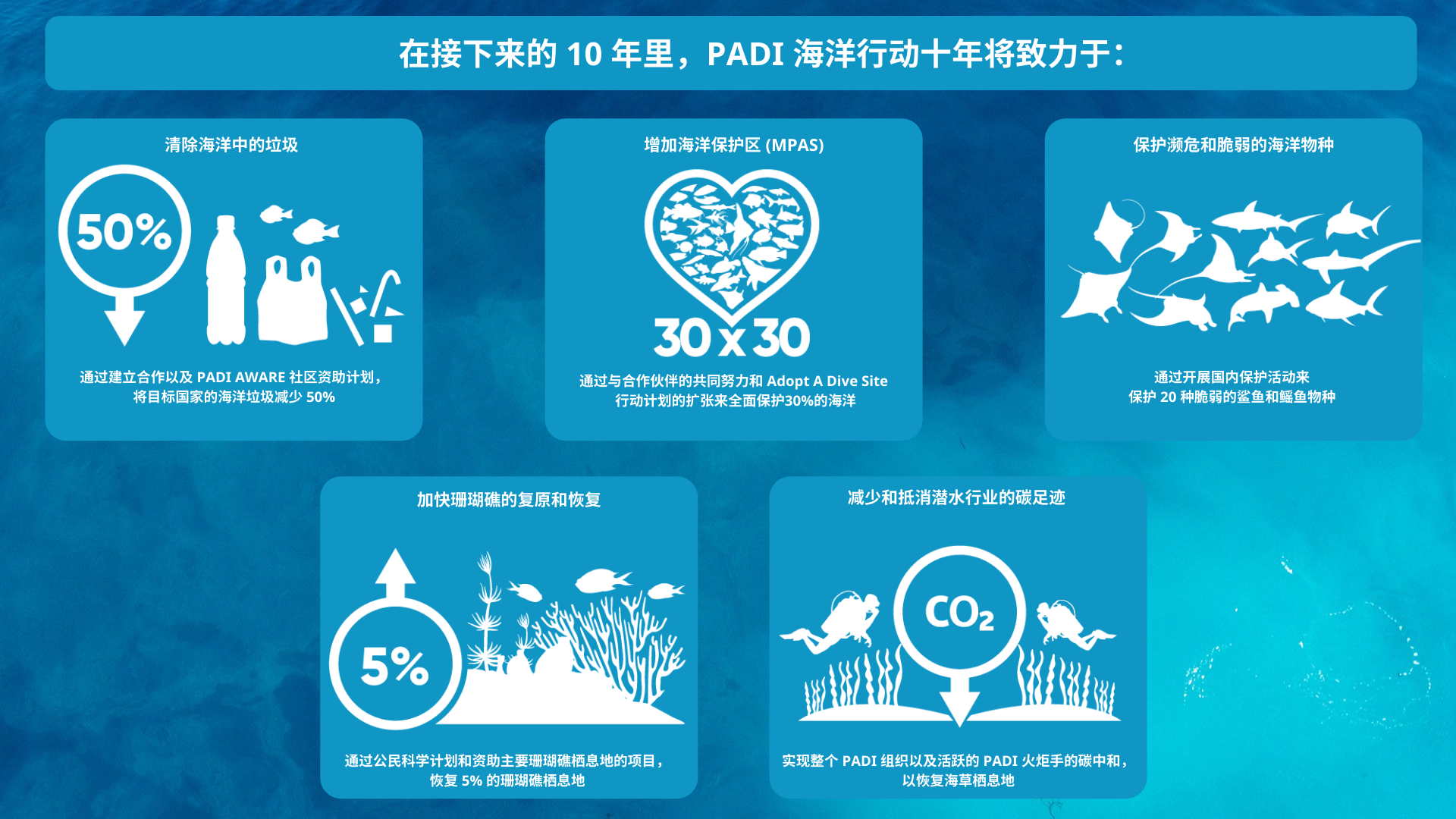 Blueprint for Ocean Action_SC