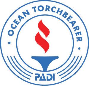 torchbear