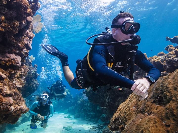 Divemaster Card