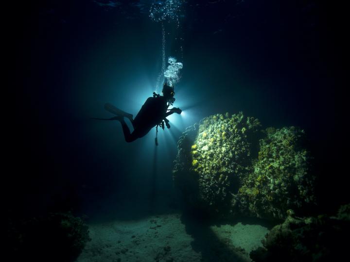 Night Diving