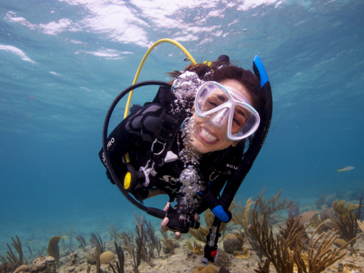 PADI In the News