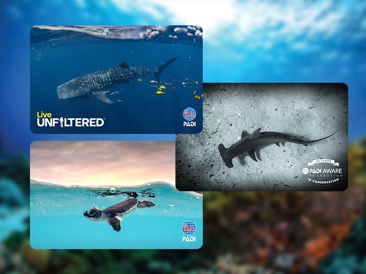 New Exclusive PADI certification cards