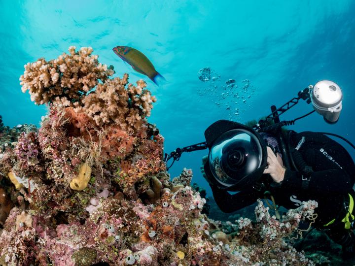 underwater diver with camera and strobes