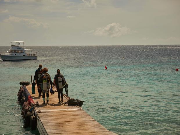 PADI Adventures App Image December