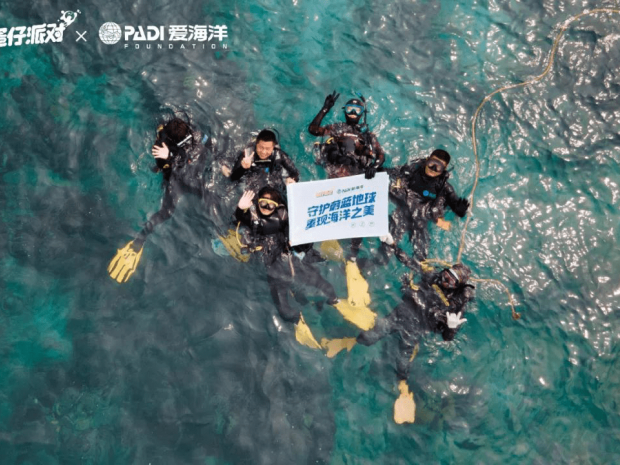 蛋仔派对