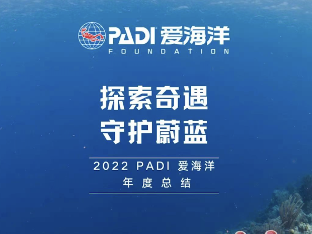 2022公益年报