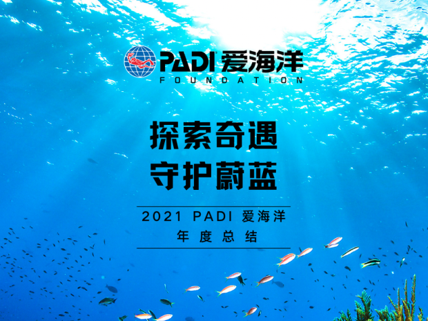 2021公益年报