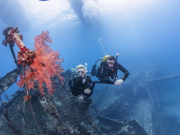 two divers swimming around a wreck