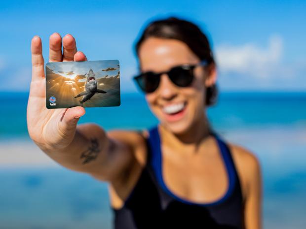Person holding a mako shark PADI certification card.