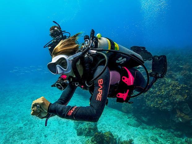 Divers swimming in ocean.