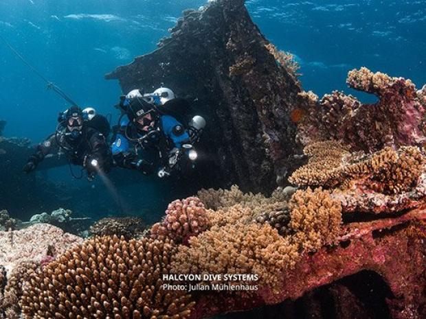 Tec divers with double tanks checking corals