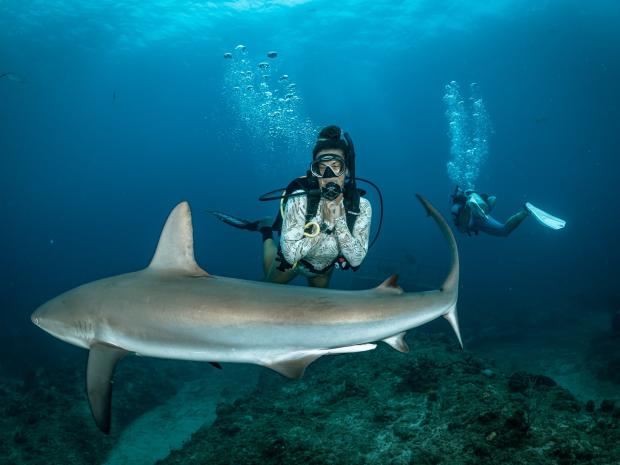 A person taking a photo next to a shark.