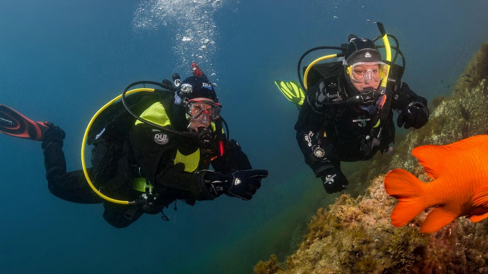 干式潜水衣|PADI image