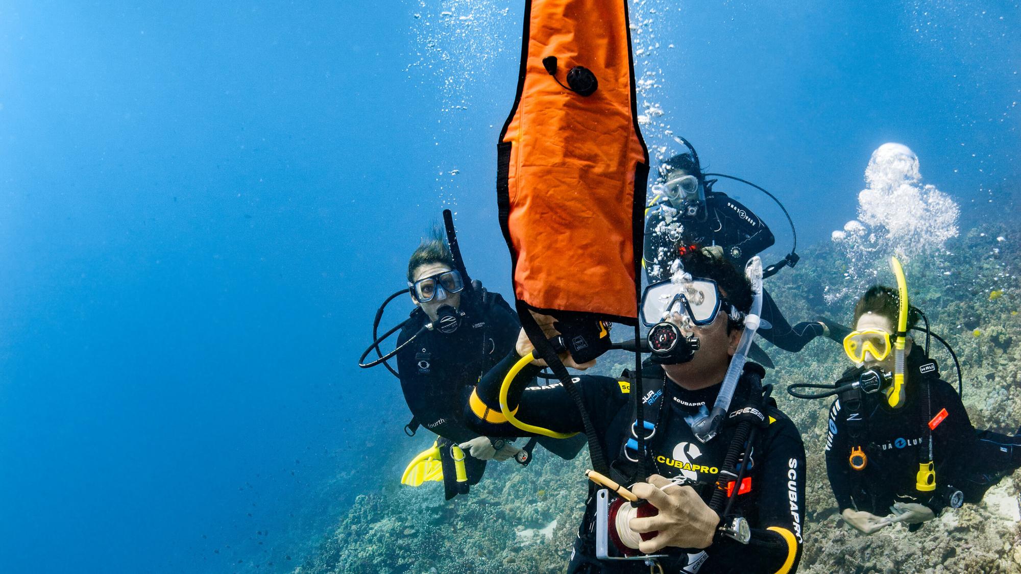 Delayed Surface Marker Buoy (DSMB) Diver - Specialty Course