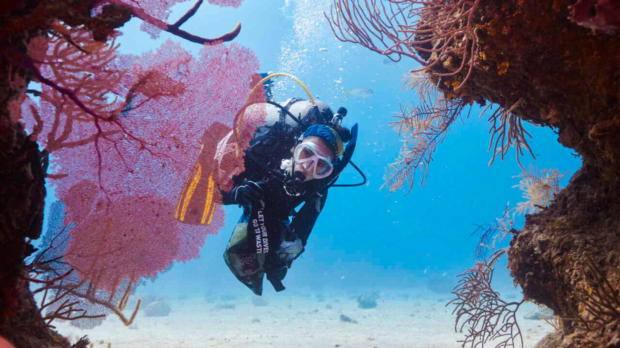 PADI AWARE Week 2021