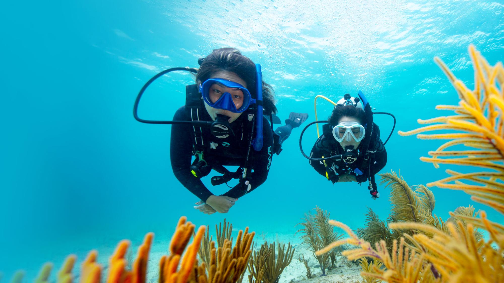 2 scuba divers exploring underwater