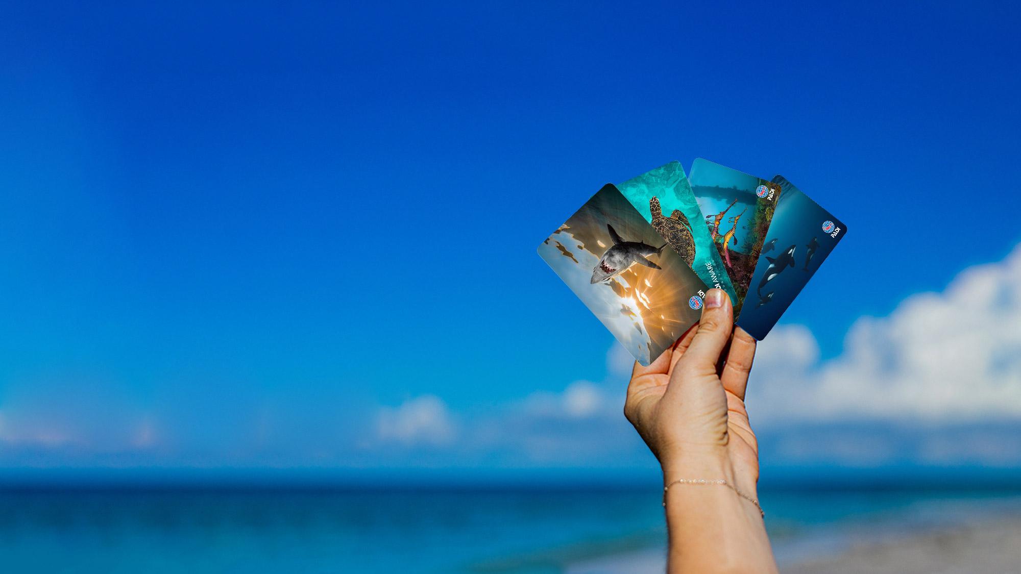 person holding multiple diver certification card designs