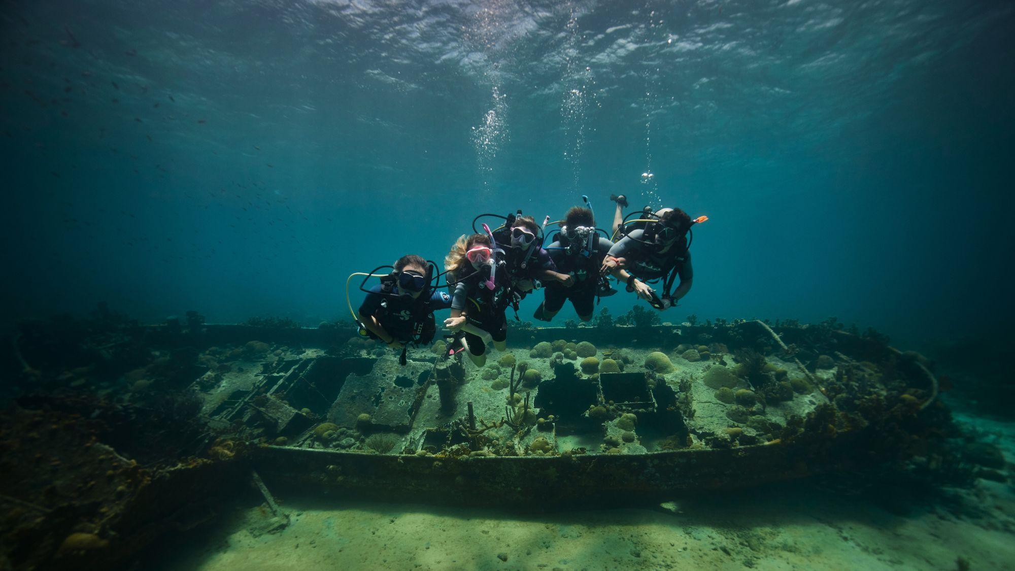 Group of divers at mid water
