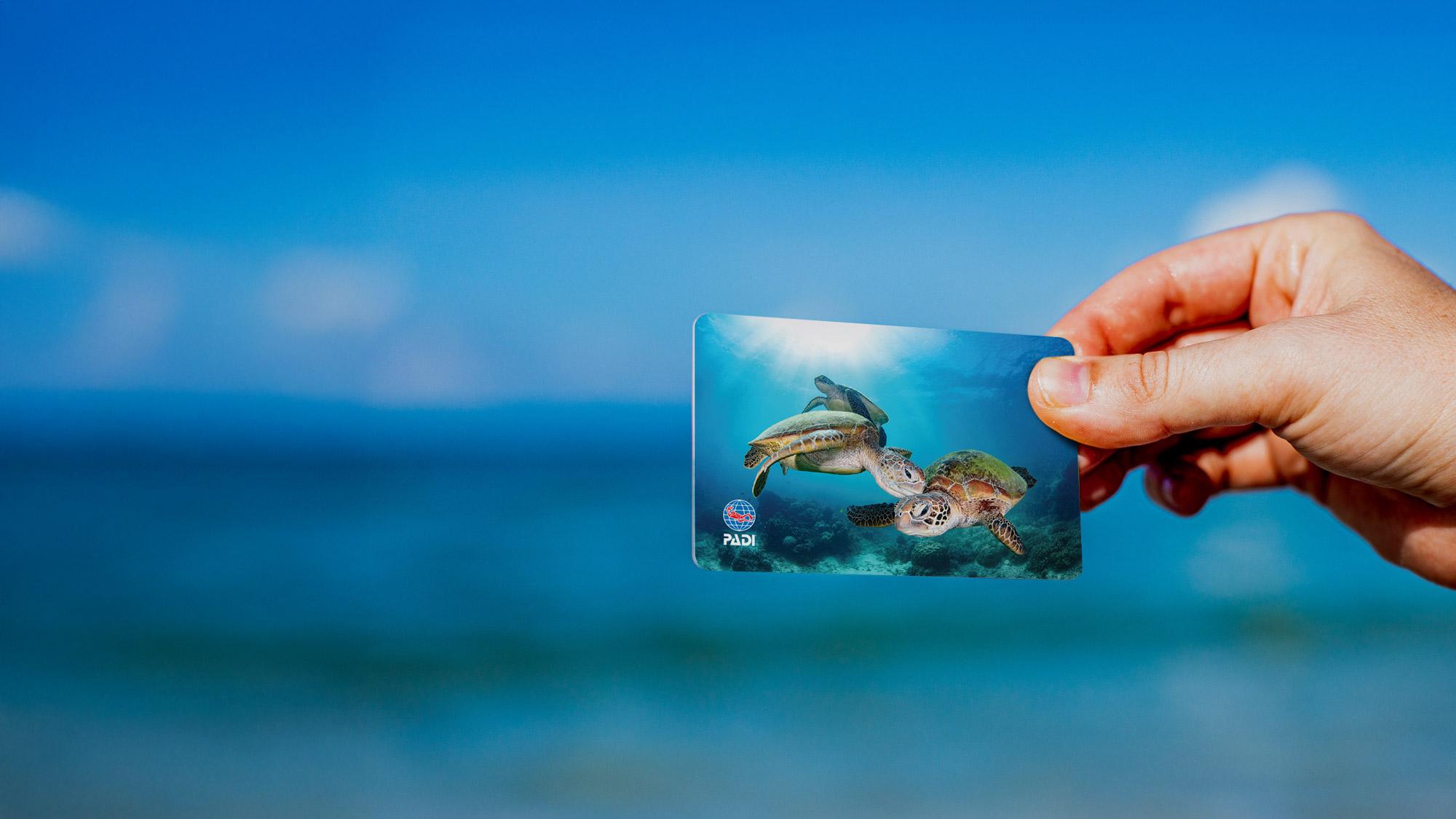 hand holding a physical certification card