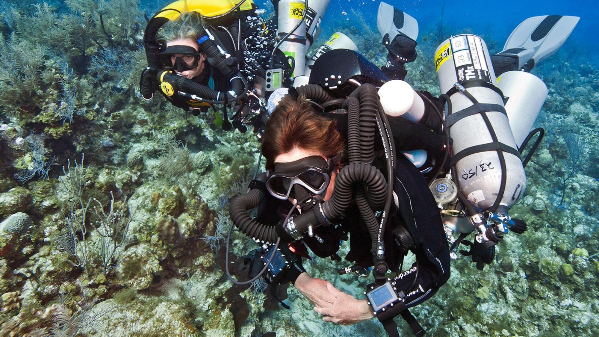 PADI TecRec Course Offerings