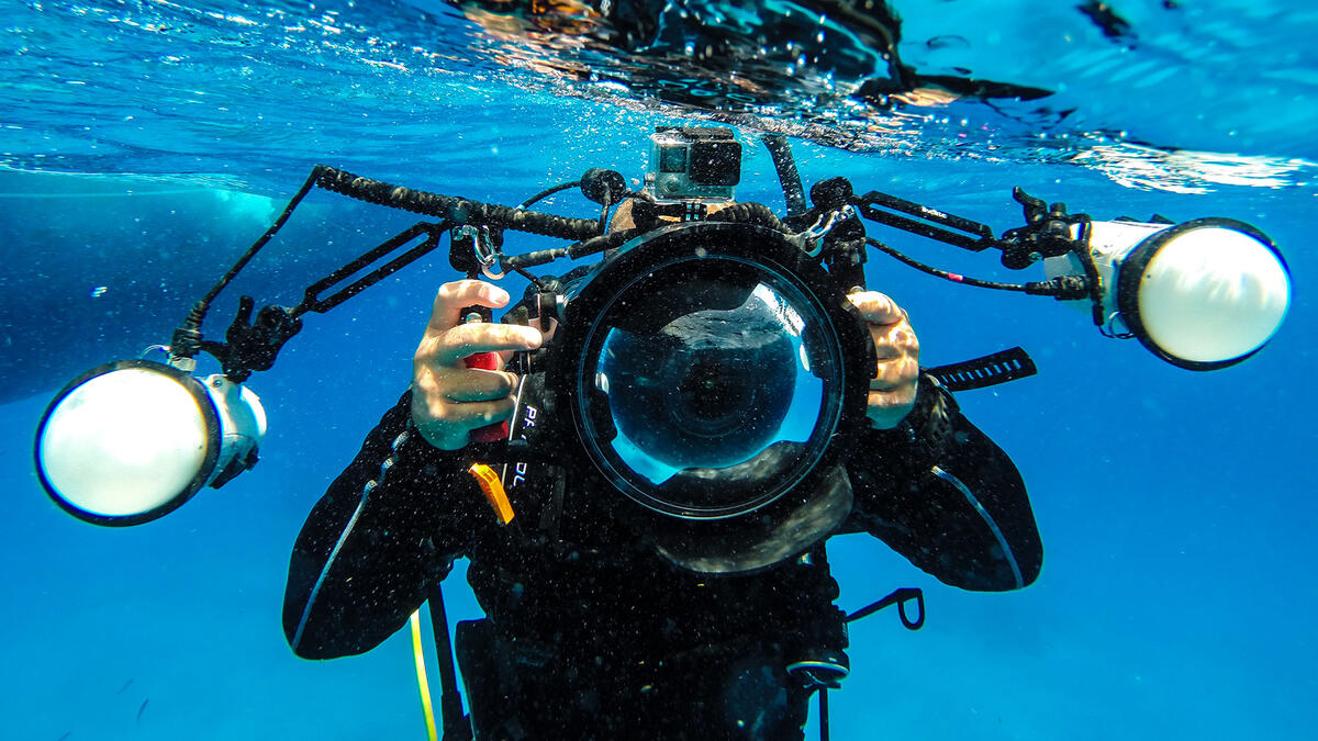 PADI Press Page