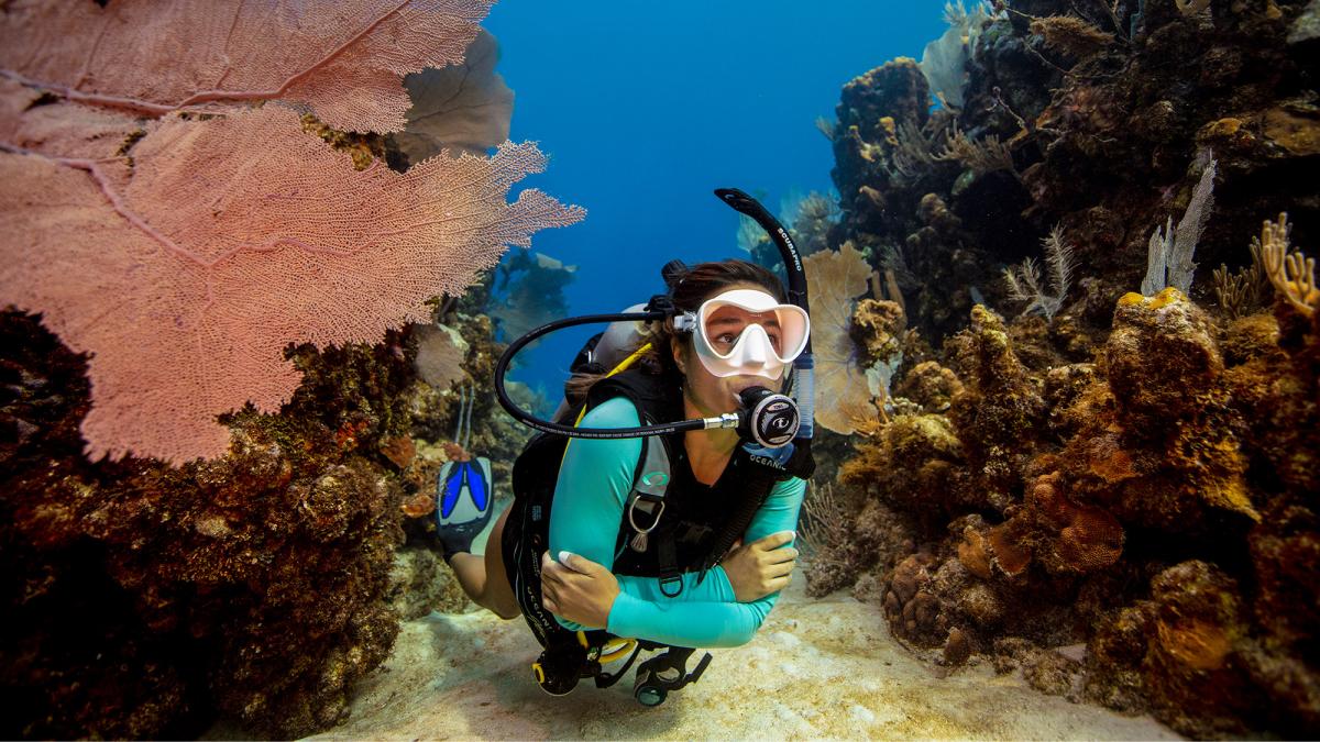 Women S Dive Day Host An Event Padi