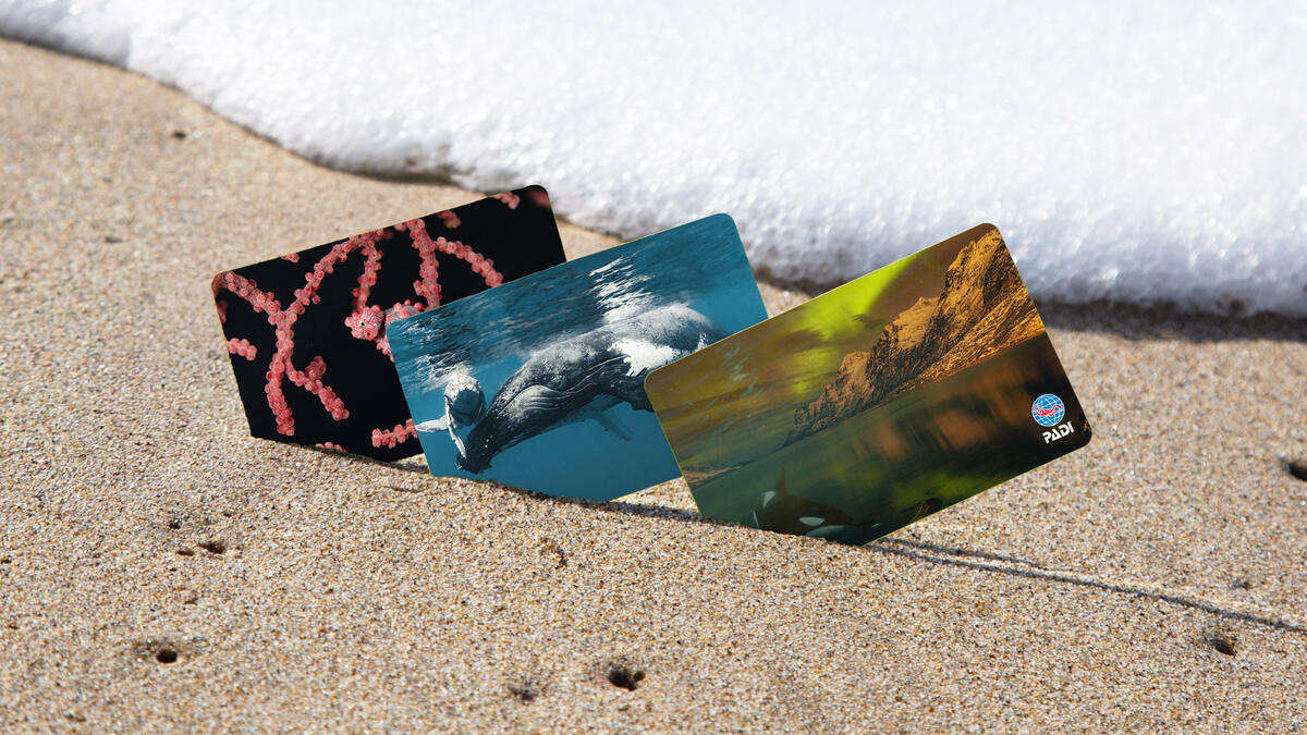 New PADI Certification Cards